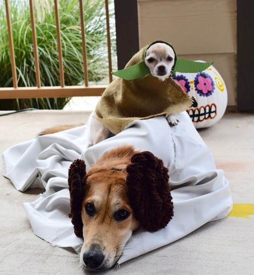 layla and nala halloween